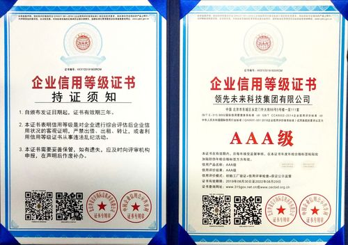 領(lǐng)先未來(lái)榮獲“3·15全國(guó)產(chǎn)品和服務(wù)質(zhì)量誠(chéng)信示范企業(yè)”稱號(hào)，信息咨詢服務(wù)再獲行業(yè)認(rèn)可